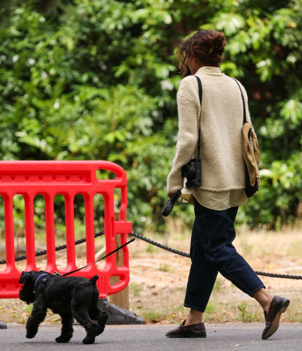 25-Q4: showgirls with a&nbsp;vengeance